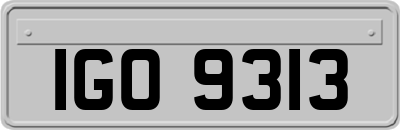 IGO9313