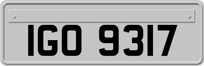 IGO9317