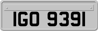 IGO9391