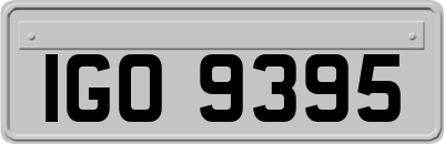 IGO9395