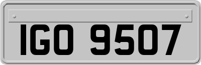 IGO9507