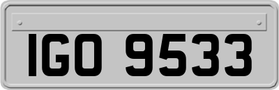 IGO9533
