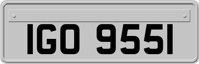 IGO9551