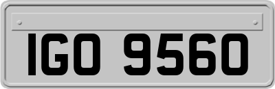 IGO9560