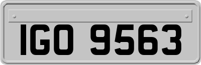 IGO9563