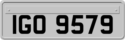 IGO9579