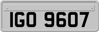IGO9607