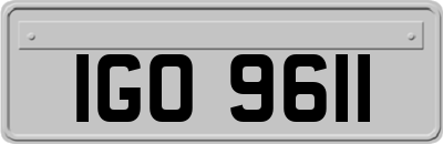 IGO9611
