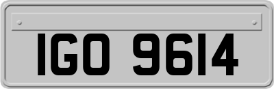 IGO9614