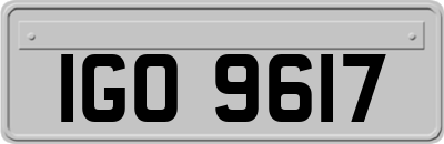 IGO9617