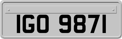 IGO9871
