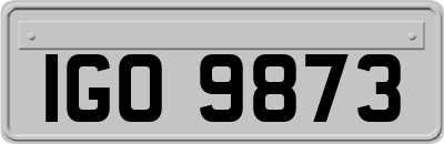 IGO9873