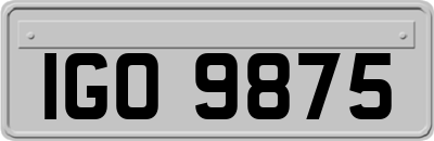 IGO9875