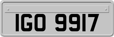 IGO9917
