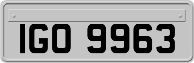 IGO9963