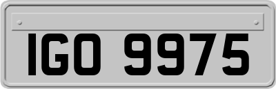 IGO9975