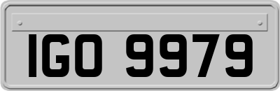 IGO9979