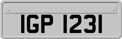 IGP1231