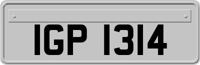 IGP1314