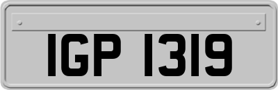 IGP1319
