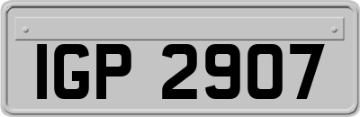 IGP2907