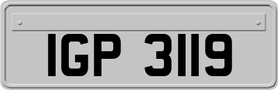IGP3119