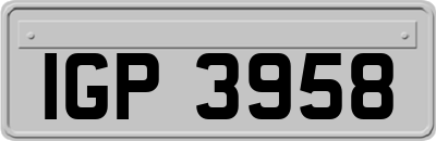 IGP3958
