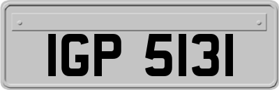 IGP5131