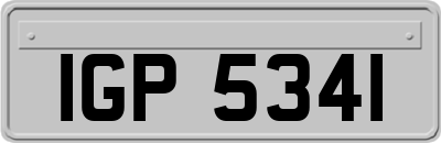 IGP5341
