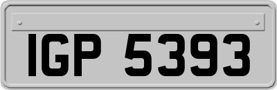 IGP5393