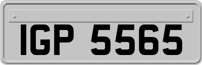 IGP5565