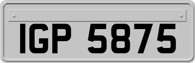 IGP5875