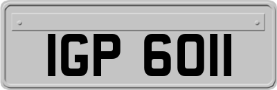 IGP6011