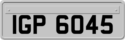 IGP6045