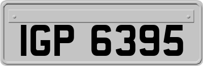 IGP6395