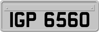IGP6560