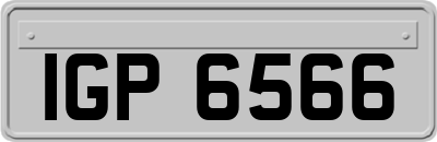 IGP6566