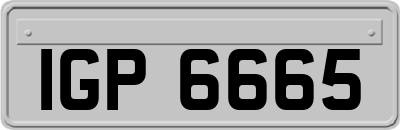 IGP6665