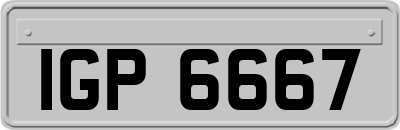 IGP6667