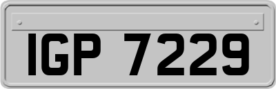 IGP7229
