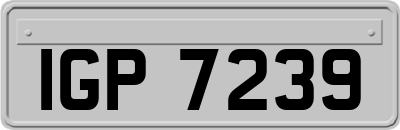 IGP7239
