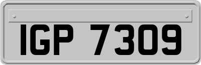 IGP7309
