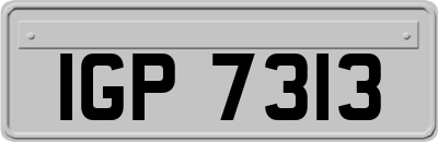 IGP7313