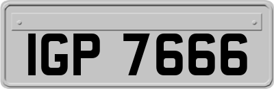 IGP7666