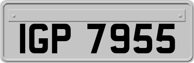 IGP7955