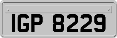 IGP8229