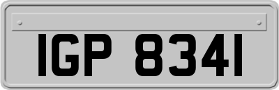 IGP8341