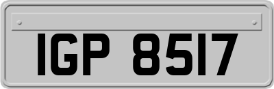 IGP8517