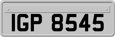 IGP8545
