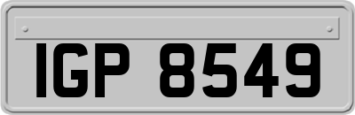 IGP8549